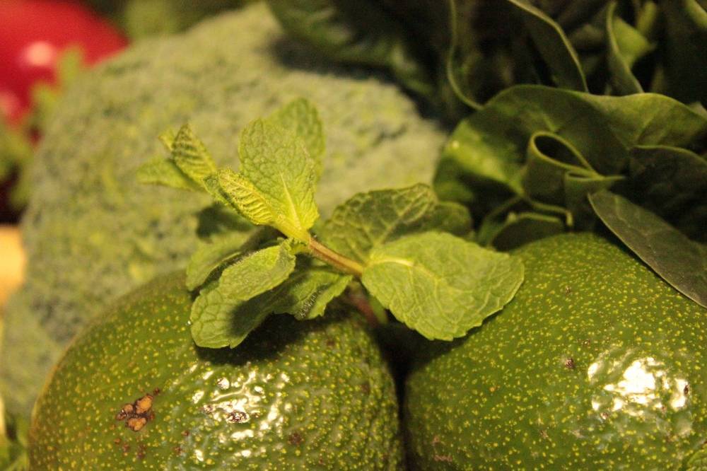 Photograph by Екатерина Александровна