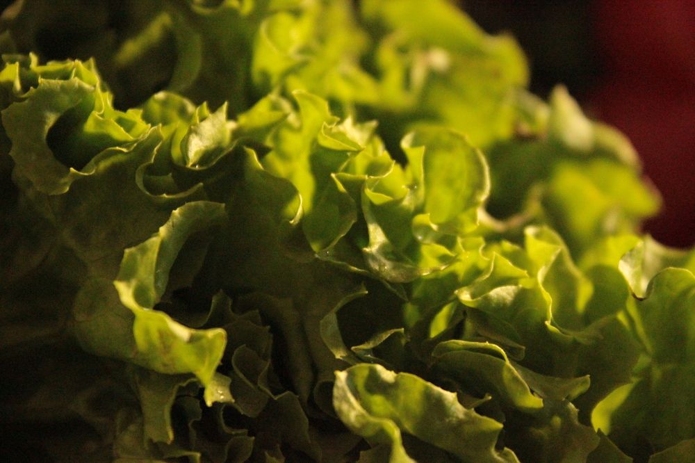 Photograph by Екатерина Александровна