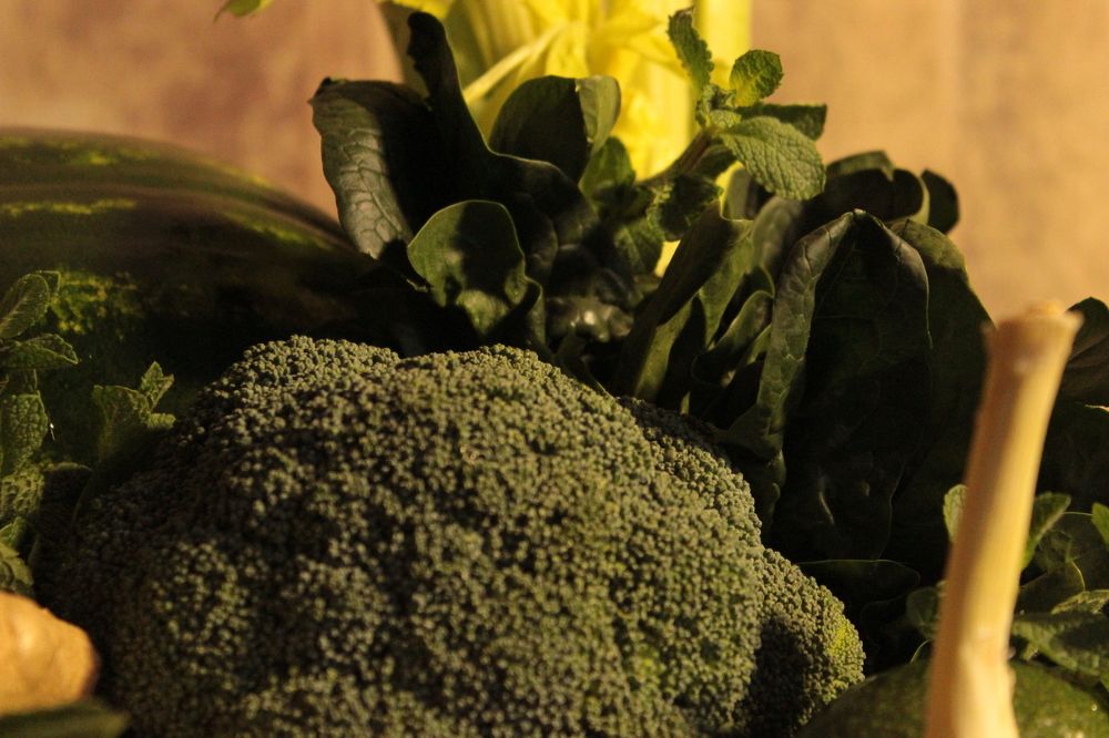 Photograph by Екатерина Александровна