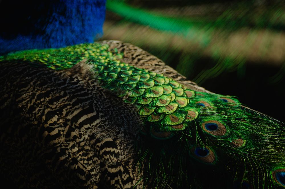 Фотография автора Мария Михайлова