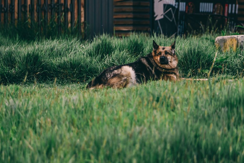 Photograph by Дарья Афанасьева