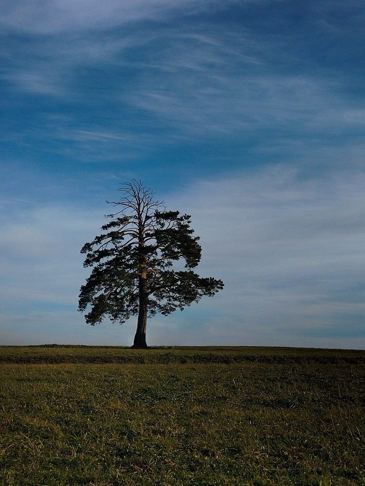 Фотография автора Максим Гафнер