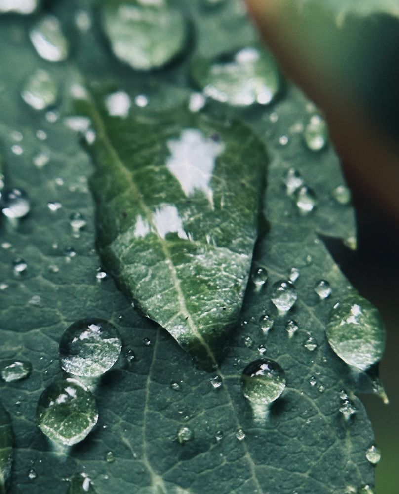 Photograph by Ксения Гулькова