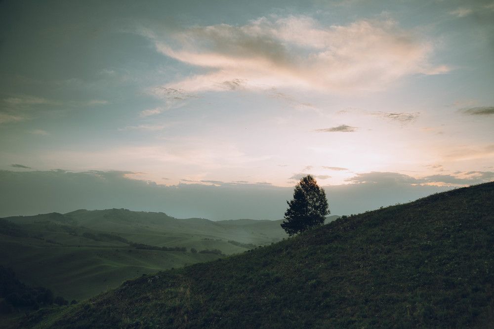 Photograph by Denis Koshkin