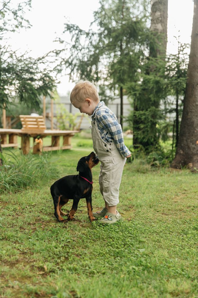 Photograph by Олеся Бакалина