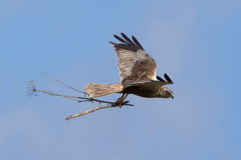 Фотография автора Александр Шипиленко