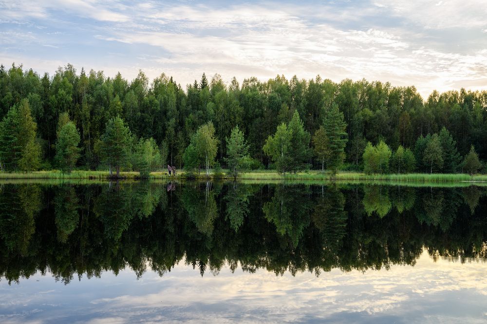 Photograph by Нуждин Андрей