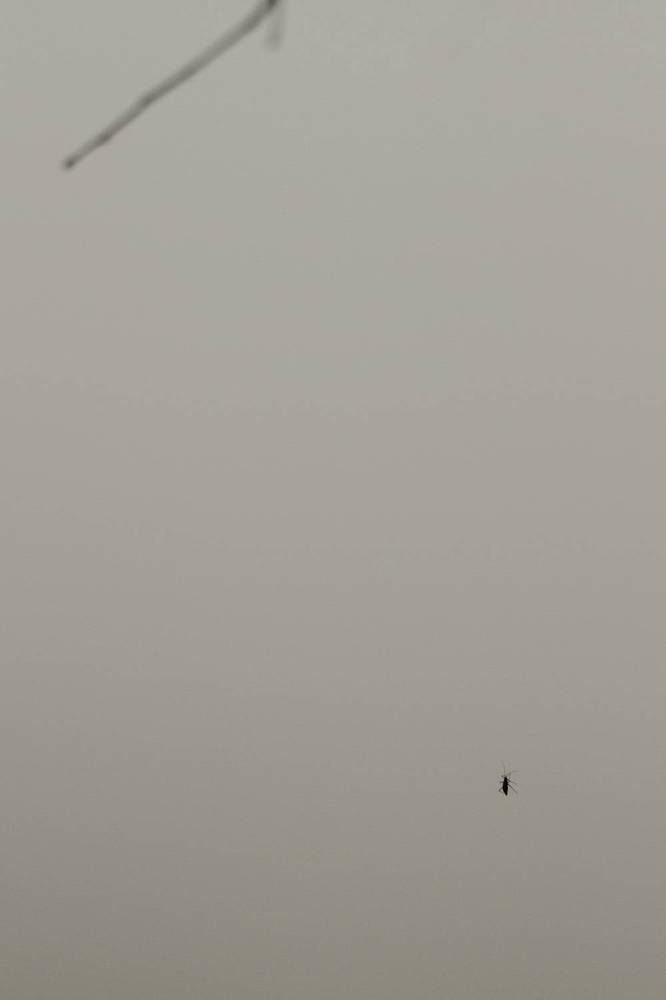 Photograph by Олеся Бакалина