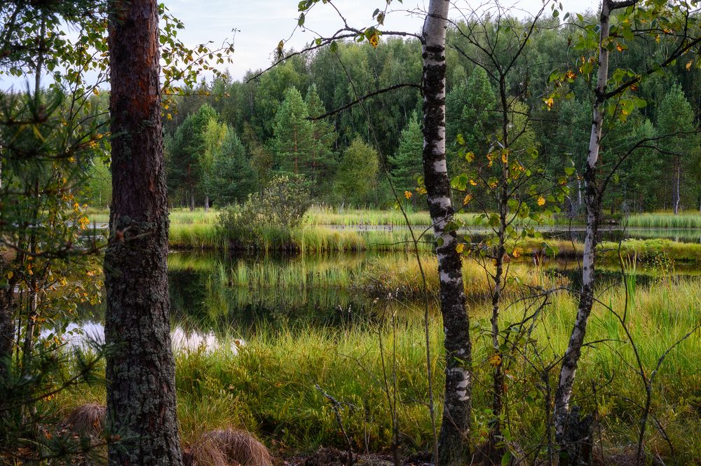 Photograph by Нуждин Андрей