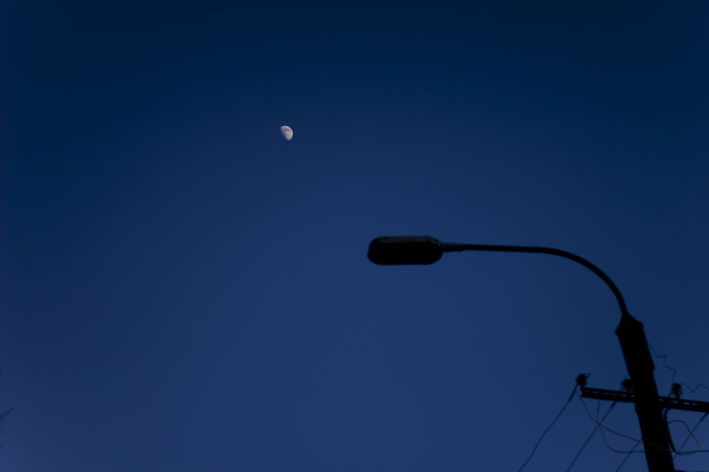 Photograph by Людмила Новосёлова