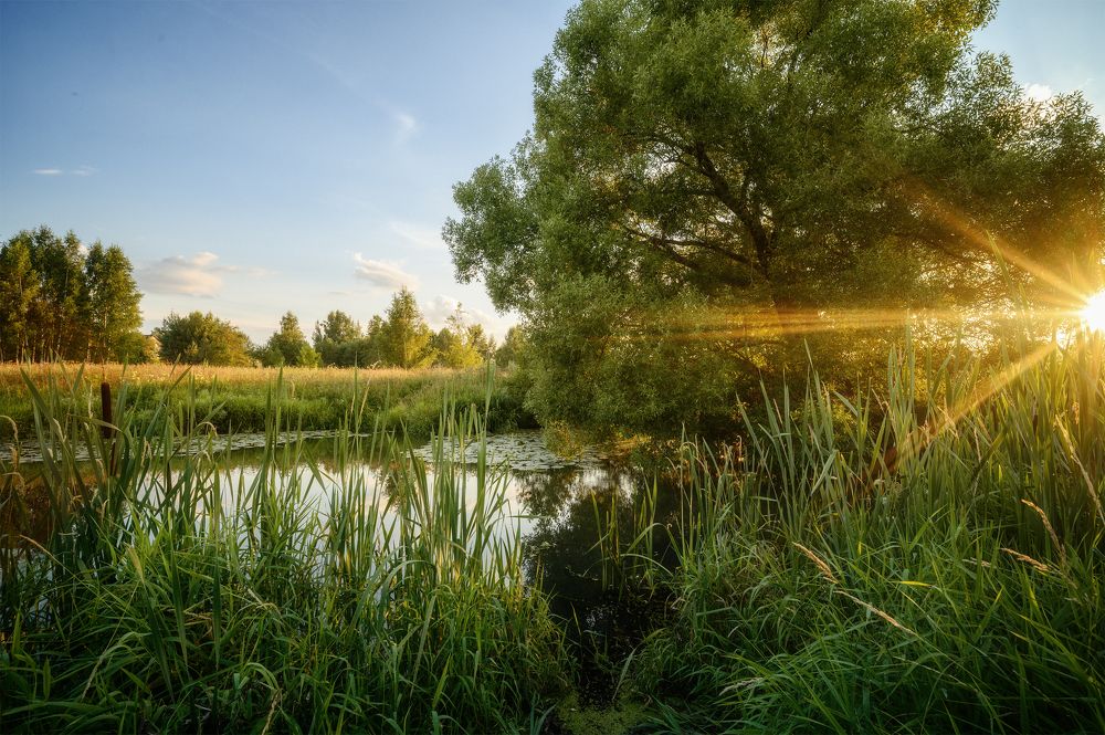 Photograph by Нуждин Андрей