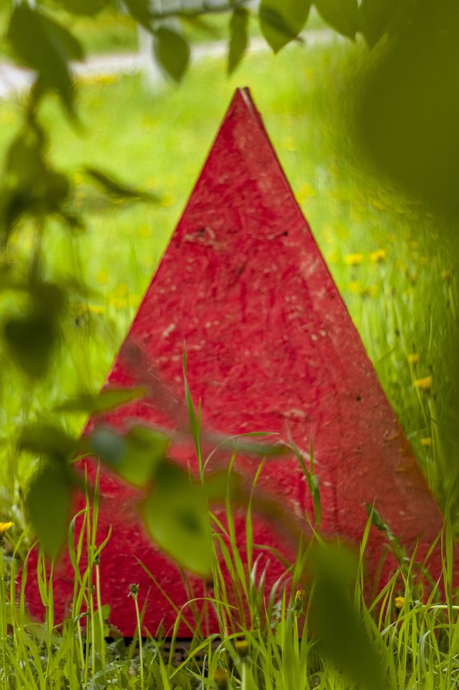 Photograph by Людмила Новосёлова