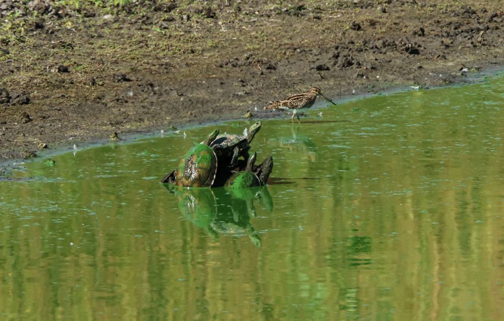 Photograph by Валентина Лопаткина