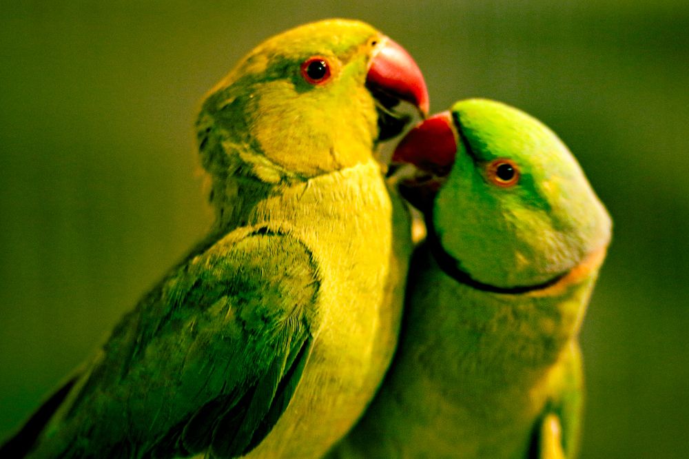 Photograph by Arnab Sarkar