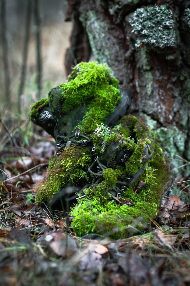 Photograph by Григорий Шишонков