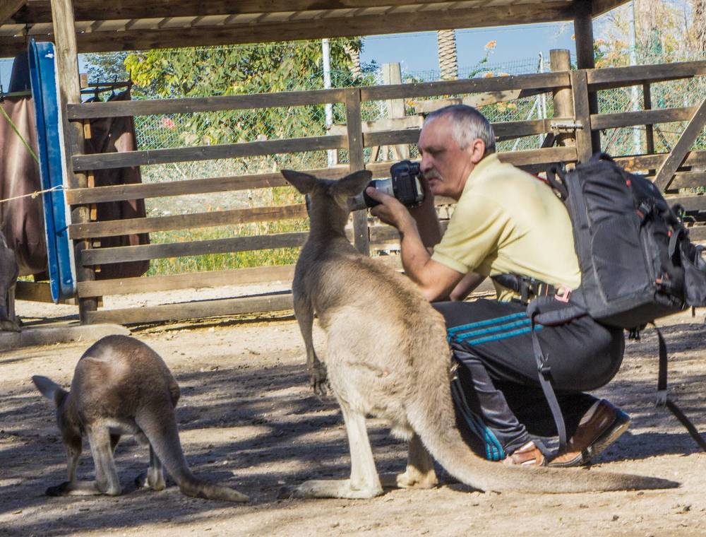 Photograph by Валентина Лопаткина