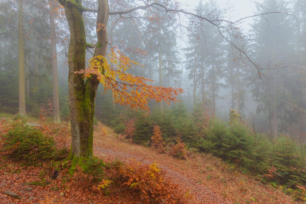 Photograph by Евгения Чех