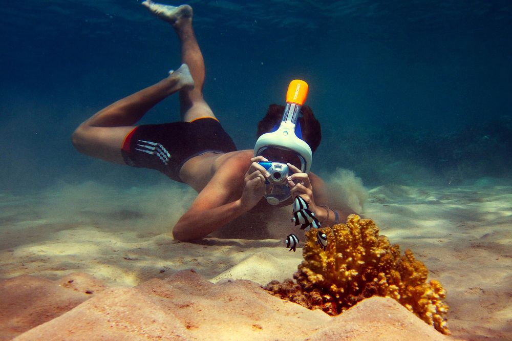 В своей стихии