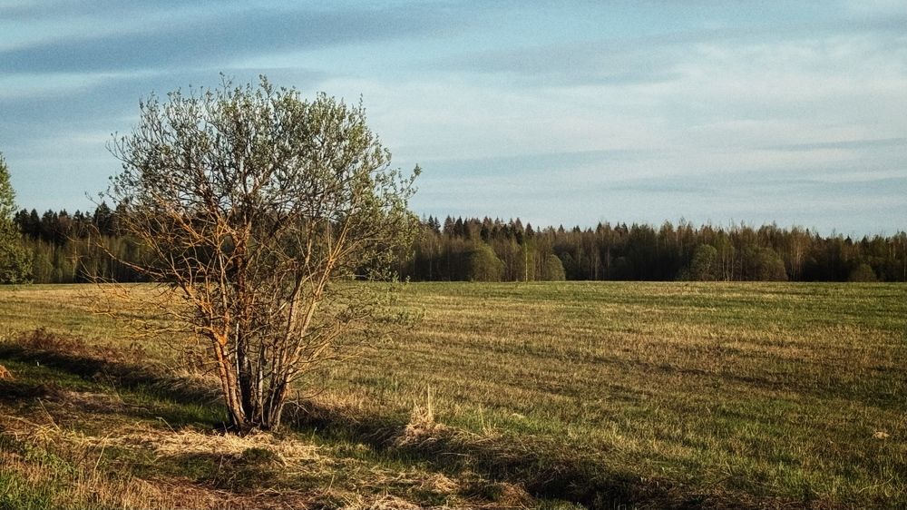 Photograph by Светлана Родионова