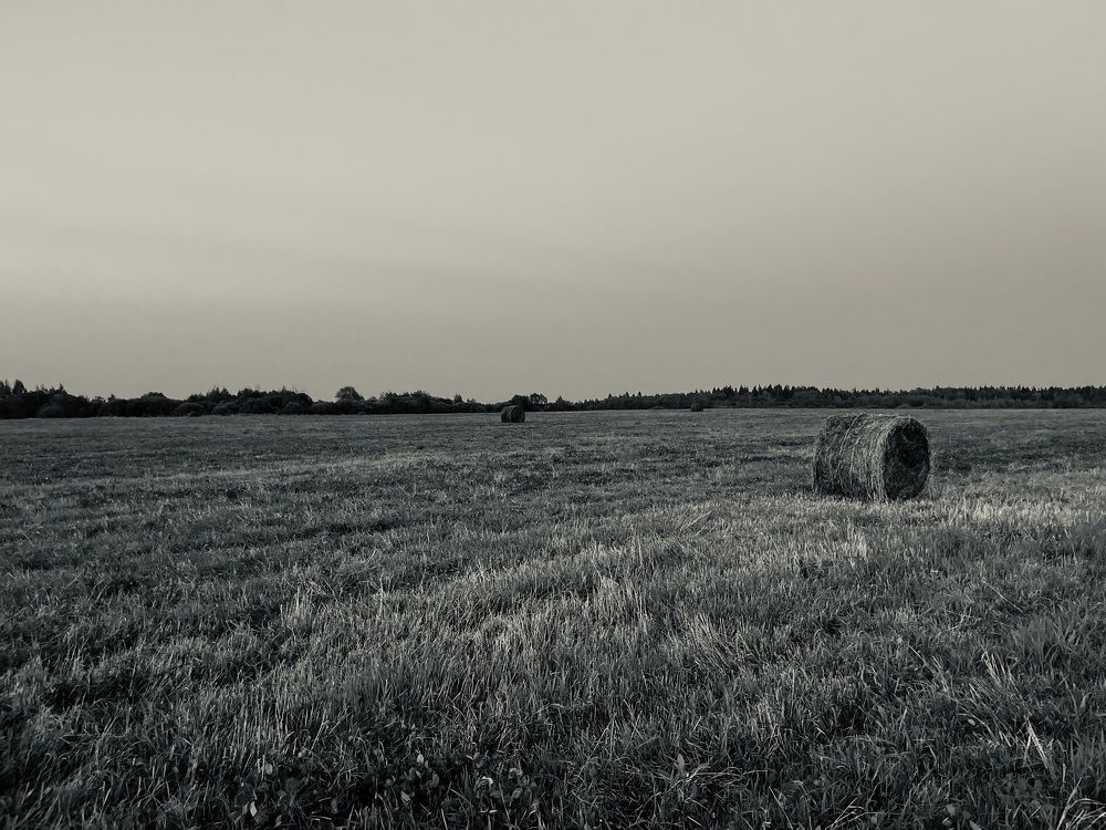 Photograph by Светлана Родионова