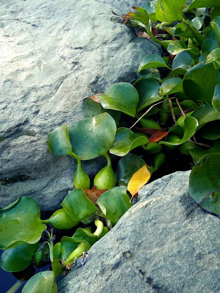 Photograph by Наталья Покрепина