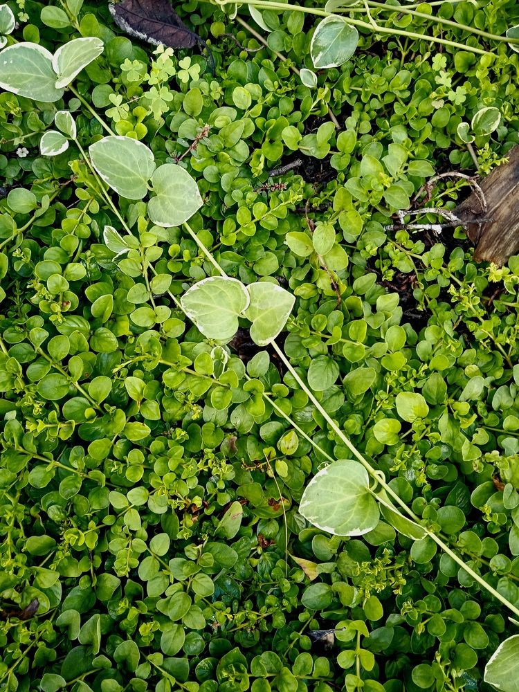 Photograph by Наталья Покрепина