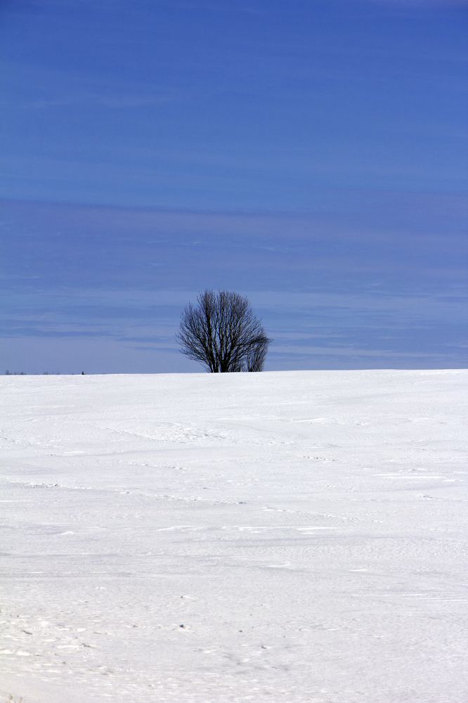 Photograph by Анастасия Северюхина