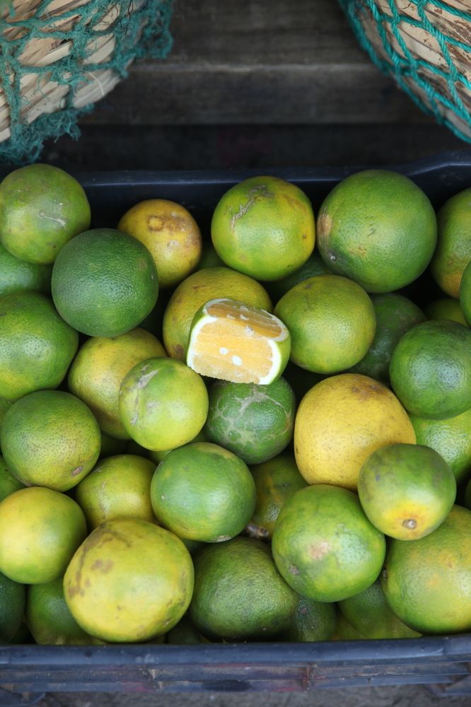 Photograph by Евфросиния Капустина