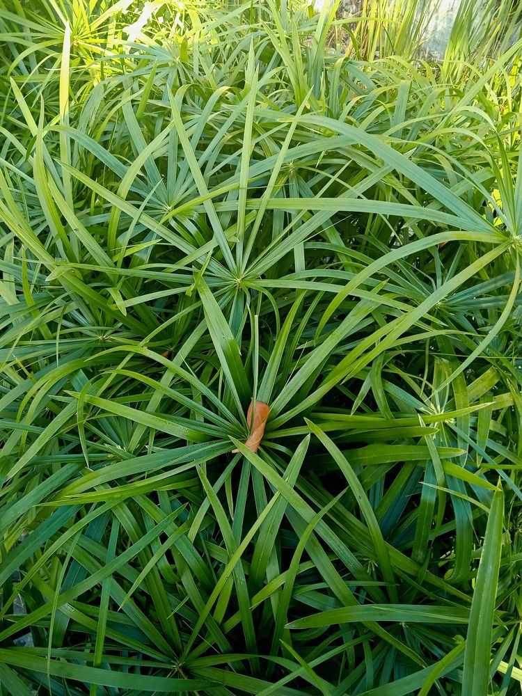 Photograph by Наталья Покрепина