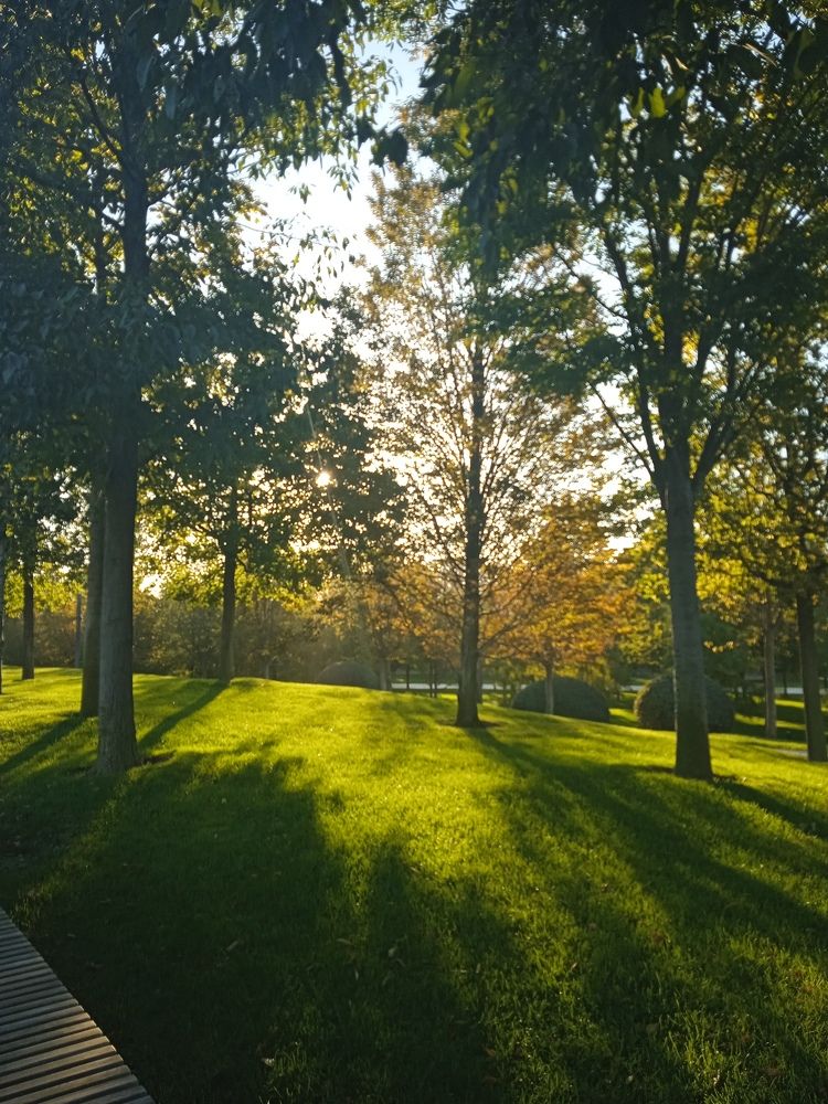 Photograph by Наталья Покрепина