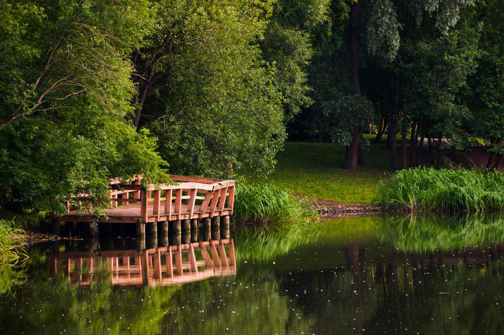 Photograph by Наталья Екимова