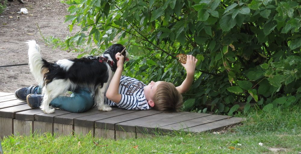 Photograph by Елена Казарина