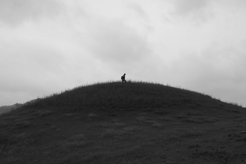 Фотография автора NARAYAN PATEL