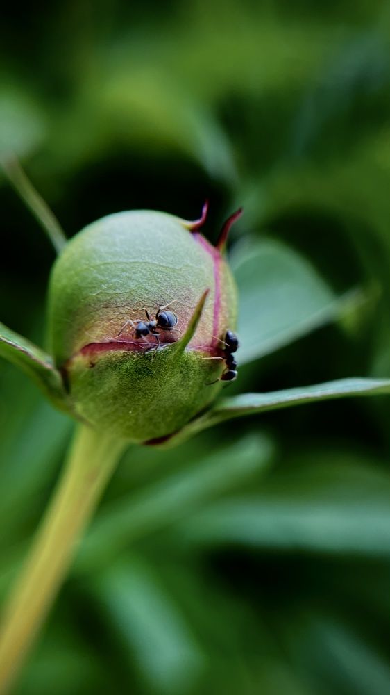 Photograph by Светлана Родионова