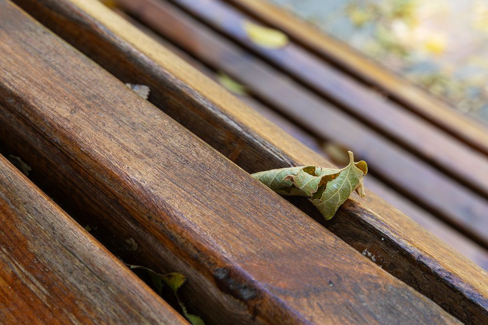 Photograph by Mesrop Mesropyan