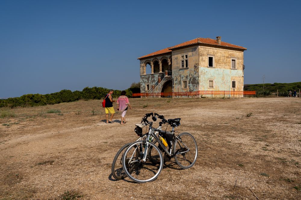 Photograph by Дария Максимова