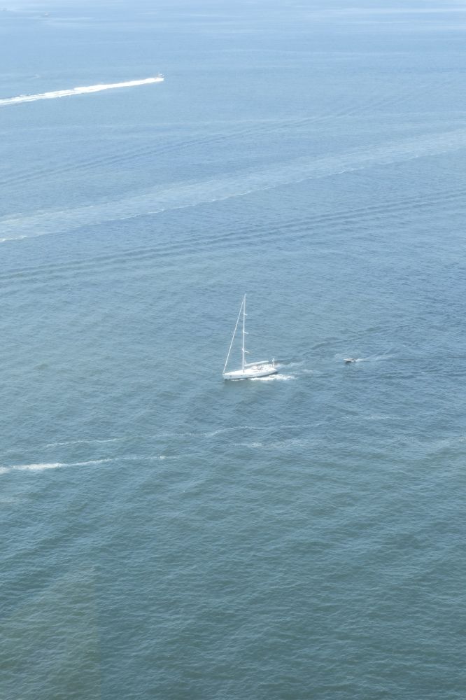 Фотография автора huiyi li