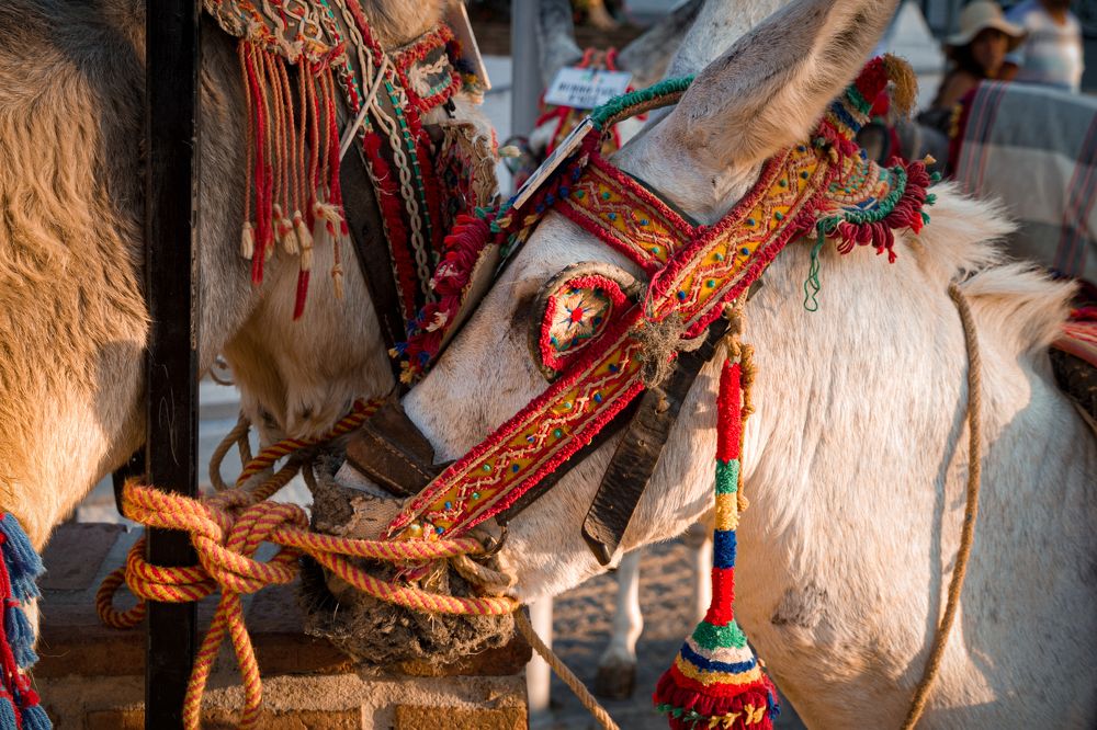 Photograph by Евгений Фонин