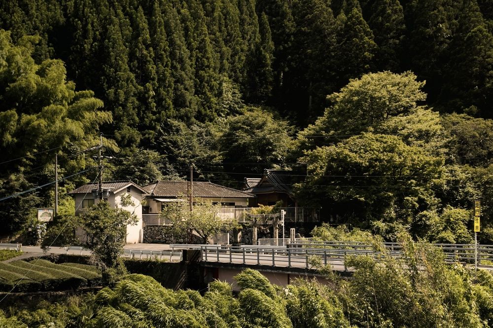 Фотография автора huiyi li