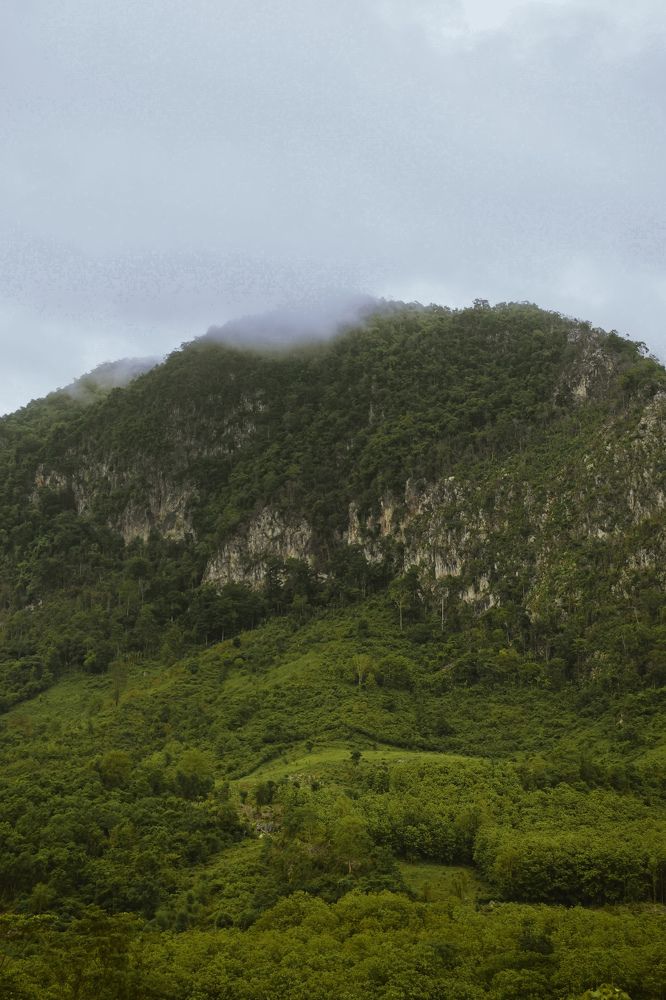 Фотография автора huiyi li