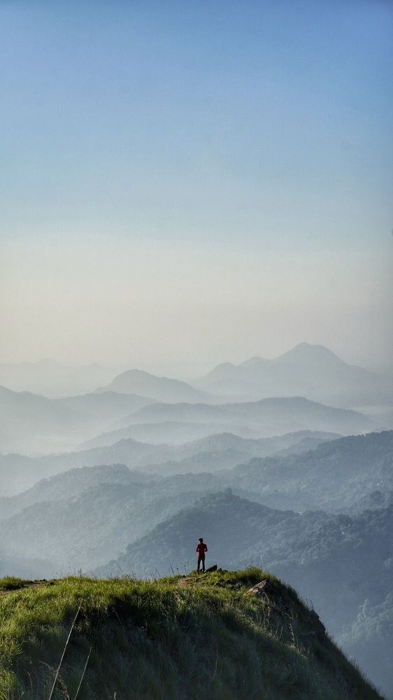 Photograph by Seyed-Sajad Hamedheydari