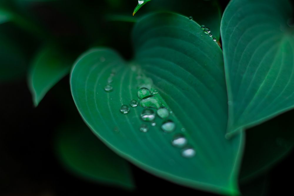 Фотография автора Анна Переверзева