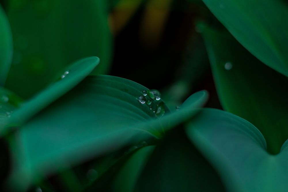 Фотография автора Анна Переверзева