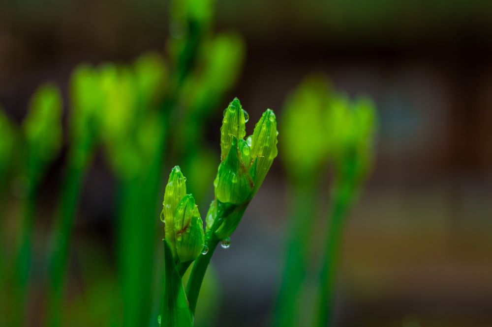 Фотография автора Анна Переверзева