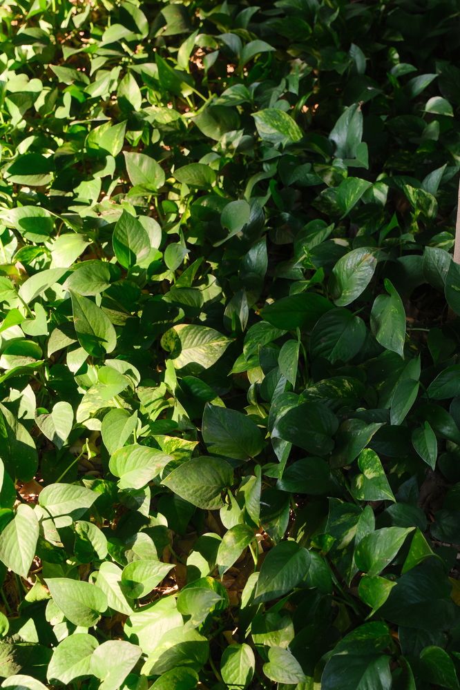 Фотография автора huiyi li