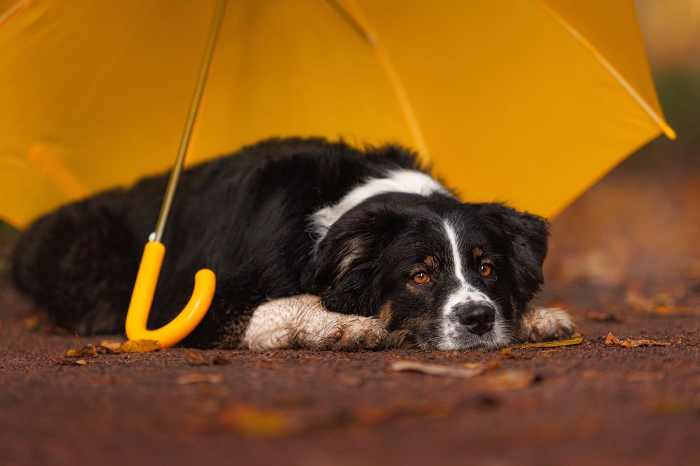 Photograph by Яна Нарбутович