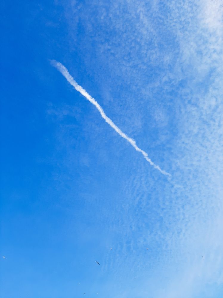 Фотография автора Светлана Дунаева