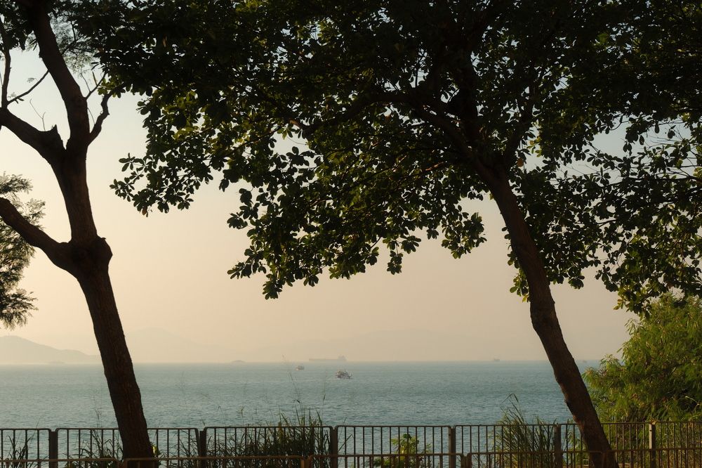 Фотография автора huiyi li