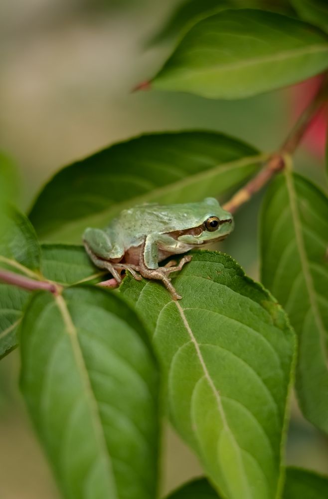 Photograph by Ирина Никульча