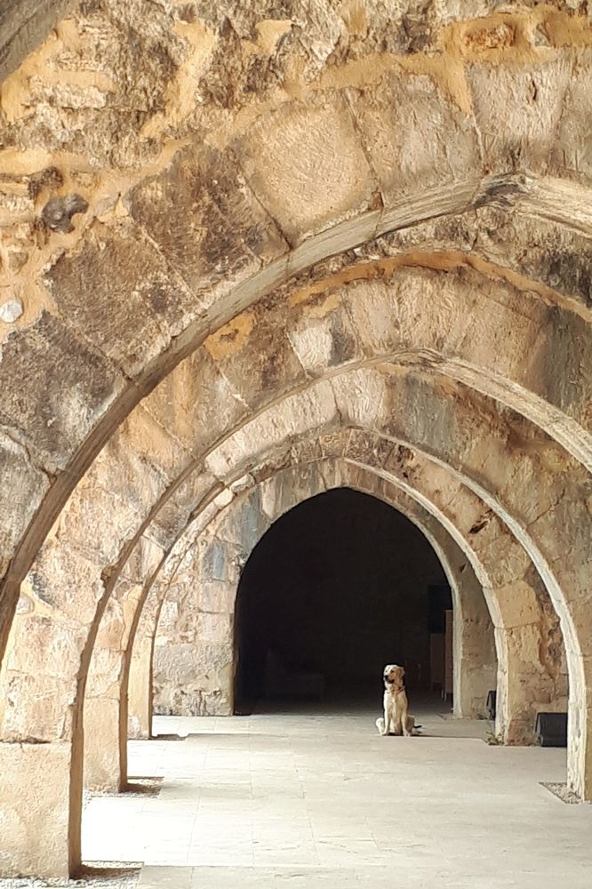 Photograph by Olga Min